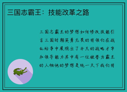 三国志霸王：技能改革之路
